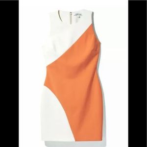 Elizabeth & James color block mini Klein dress